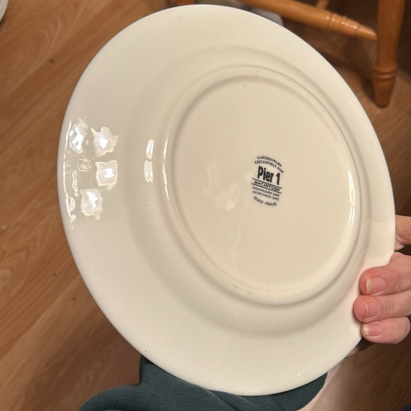 Pier 1 Macintosh Set of 3 Ceramic Earthenware Dinner Plates - Picture 4 of 6